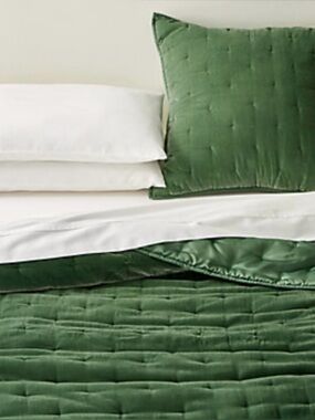 Crate & Barrel Green Audra Velvet Full/Queen Quilt includes Two Euro Shams Rare